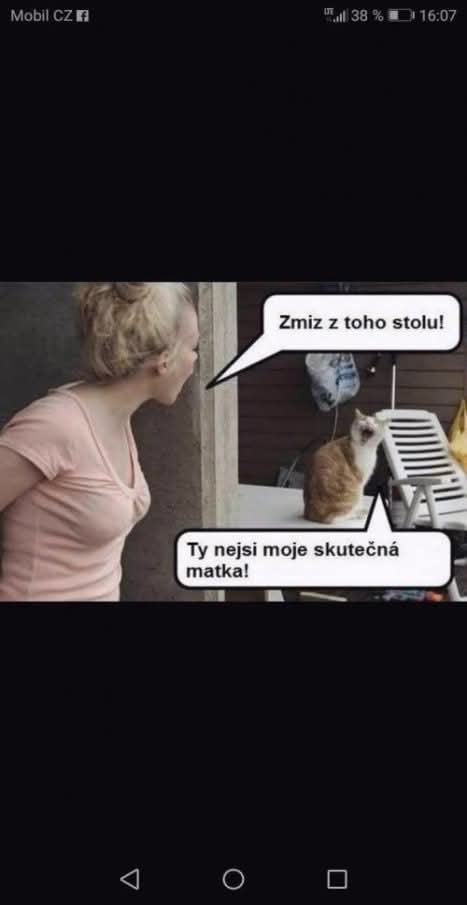 Macka